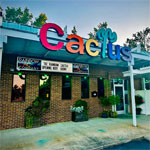 the rainbow cactus virginia beach pic of the rainbow cactus virginia beach