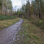 oversley woods stratford-upon-avon