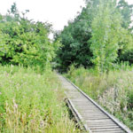 hayhead woods walsall