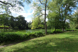 Photo of Moseley Park
