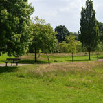 queens park birmingham